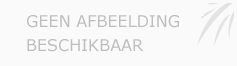 Afbeelding › B&B Het huis van peter Mot